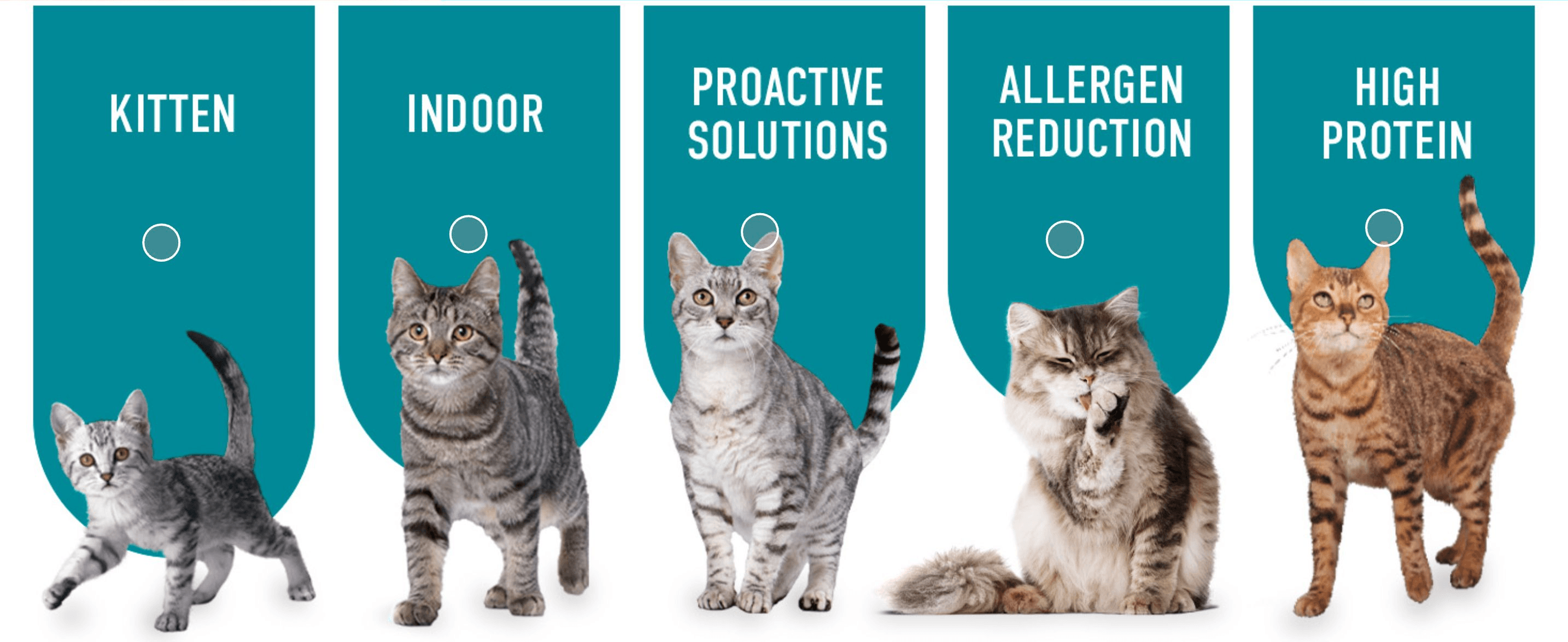 Shows the range of Purina ONE formulas (Kitten, Indoor, Proactive Solutions, Allergen Reduction, High Protein) so shoppers can find the variant suited to their cat.