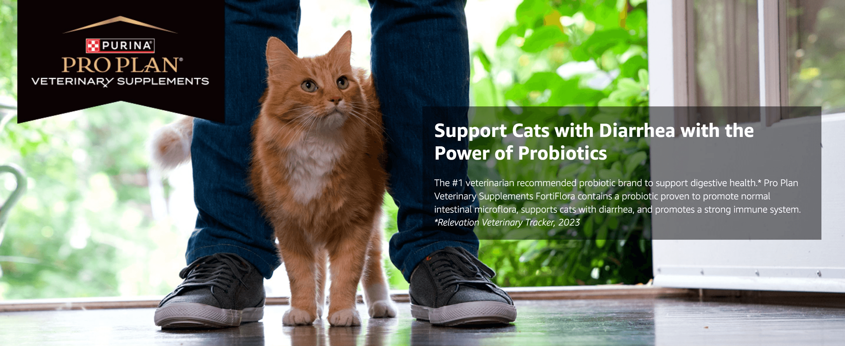 Introduces the brand and highlights that FortiFlora's probiotics support digestive health in cats with diarrhea.