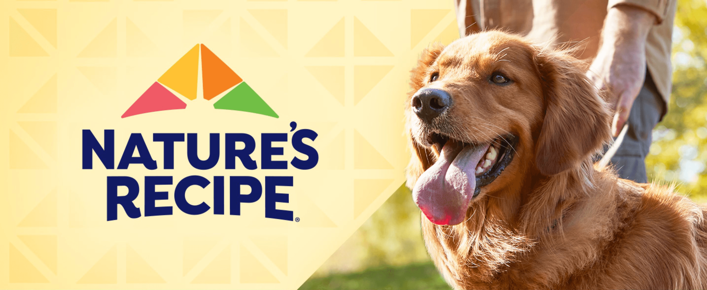 Introduces the brand name and logo alongside a warm lifestyle image of a happy dog to build brand recognition.