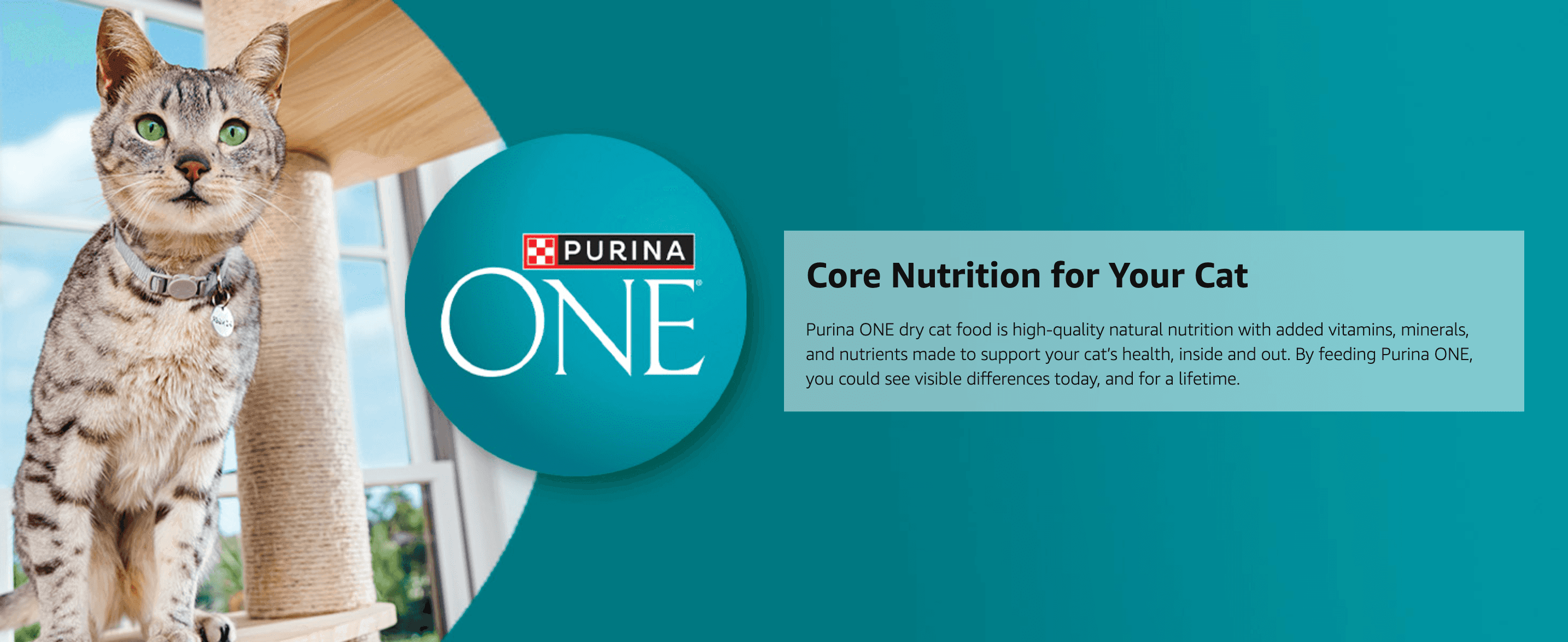 Introduces the Purina ONE brand alongside a core nutrition claim to build trust with cat owners. Communicates that the food supports the cat's overall health with quality ingredients.
