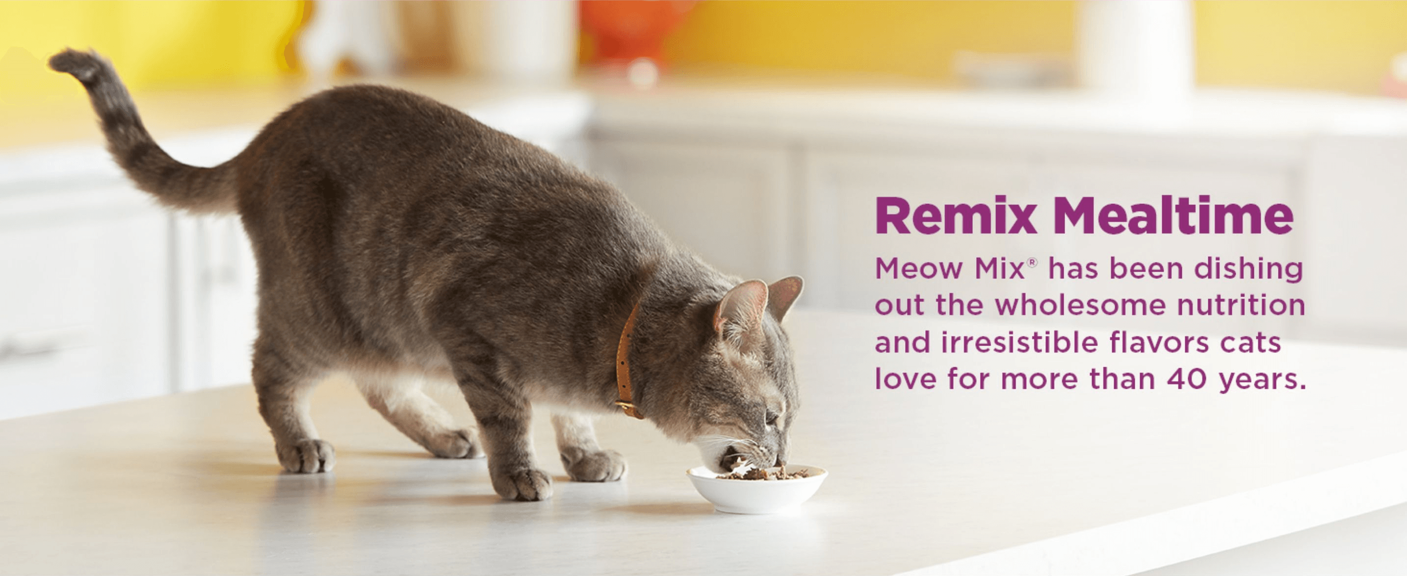 Reinforces trust by highlighting the brand's 40+ year legacy of quality nutrition and taste. Uses a warm lifestyle scene to reassure shoppers the food is both nutritious and appealing to cats.