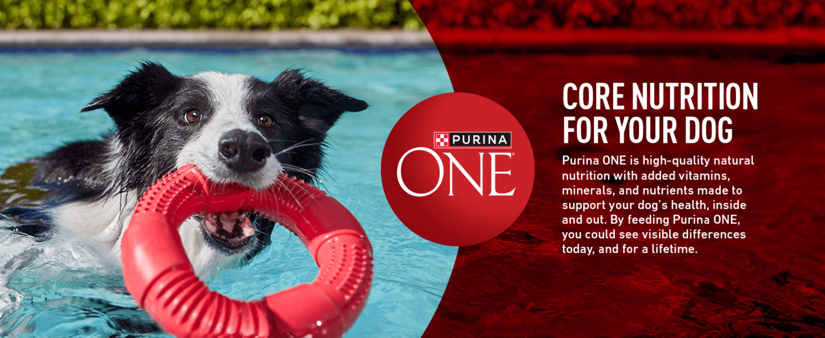 Introduces Purina ONE's brand promise of core, natural nutrition to build trust before detailing benefits. Reassures shoppers that feeding Purina ONE can produce visible health improvements over time.