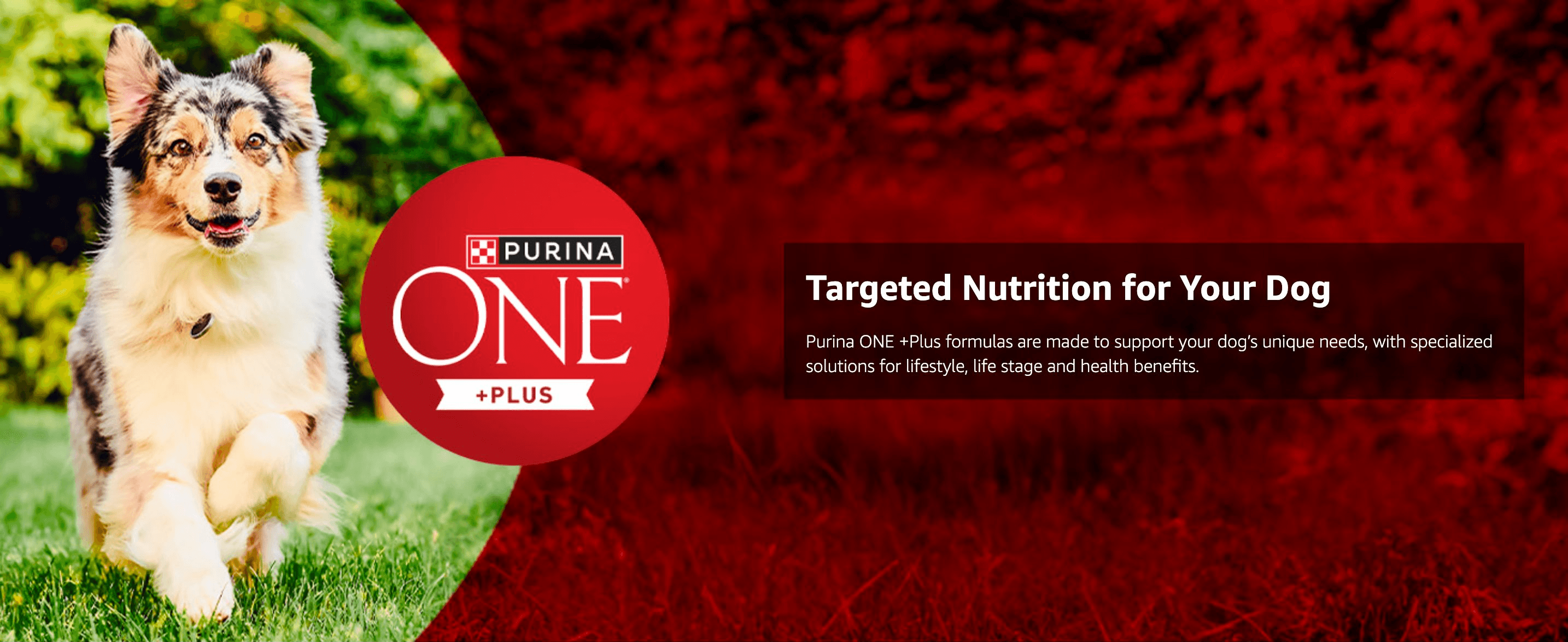 Introduces the Purina ONE +Plus brand and its promise of targeted nutrition tailored to each dog's needs.
