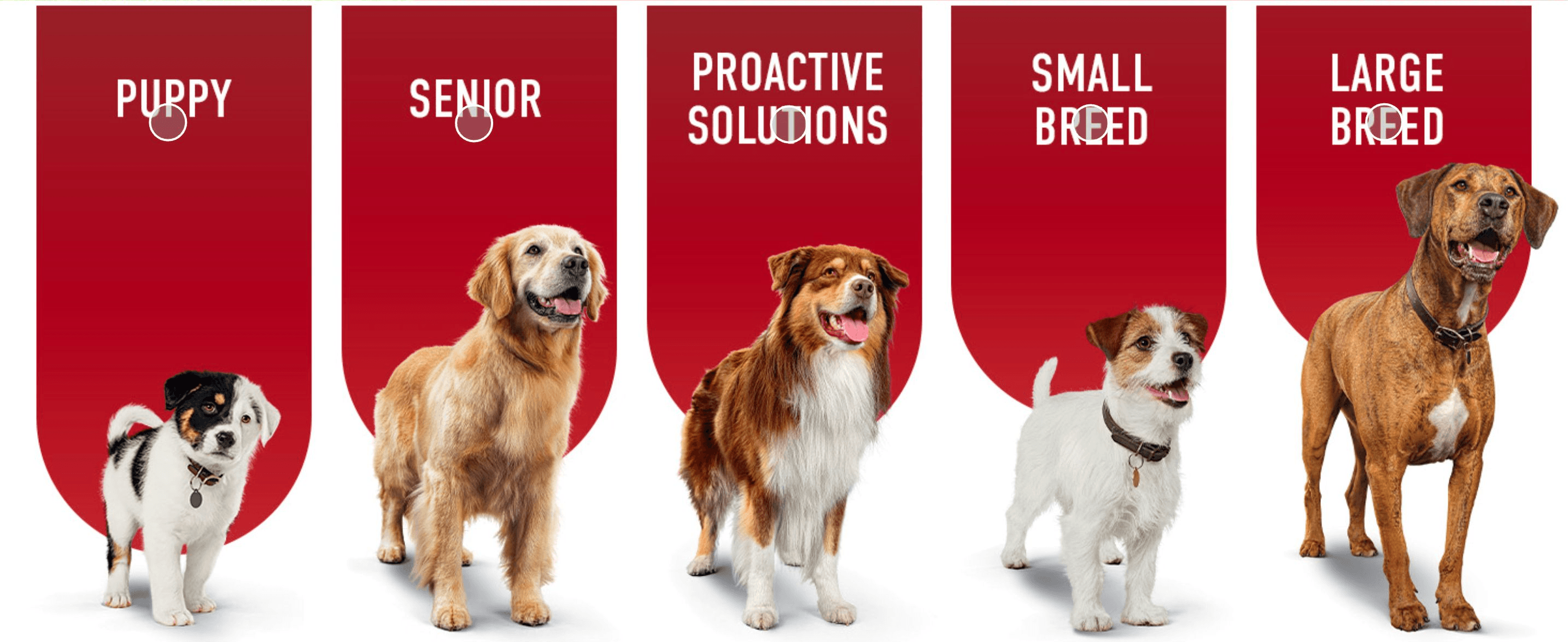 Helps shoppers pick the right Purina ONE formula by showing the product lineup segmented by life stage and breed size.
