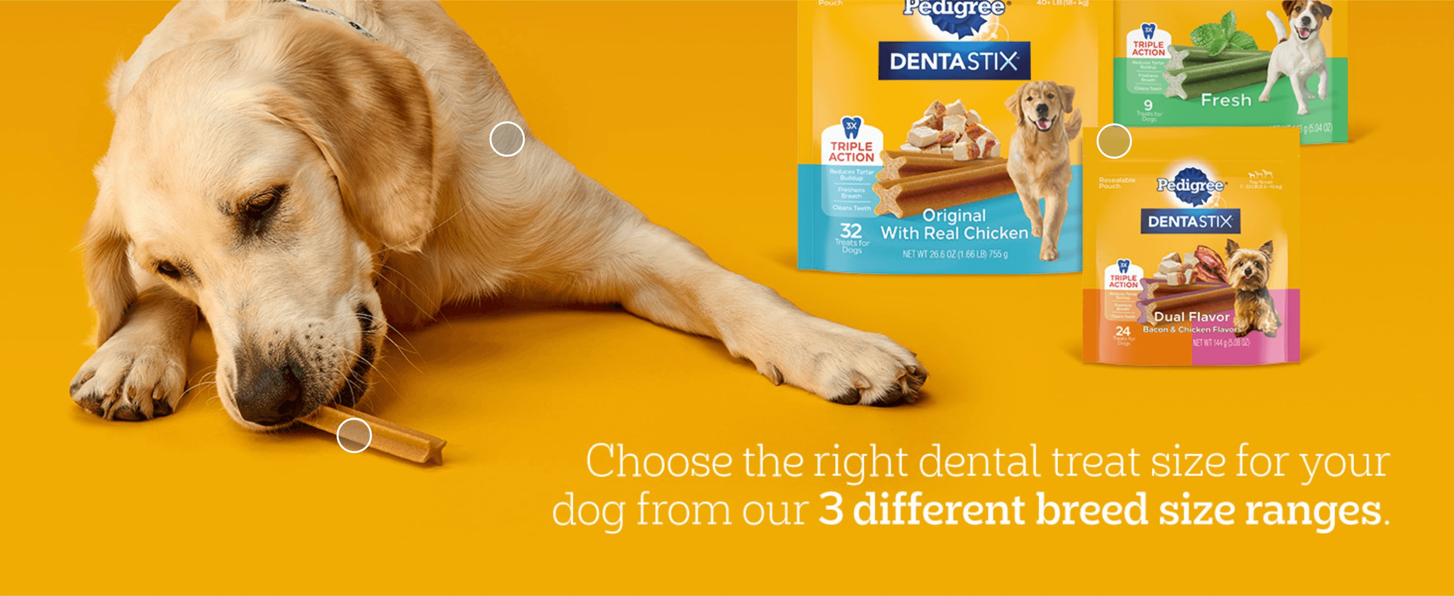 Helps shoppers pick the correctly sized DentaStix variant for their dog's breed from the three size ranges offered.