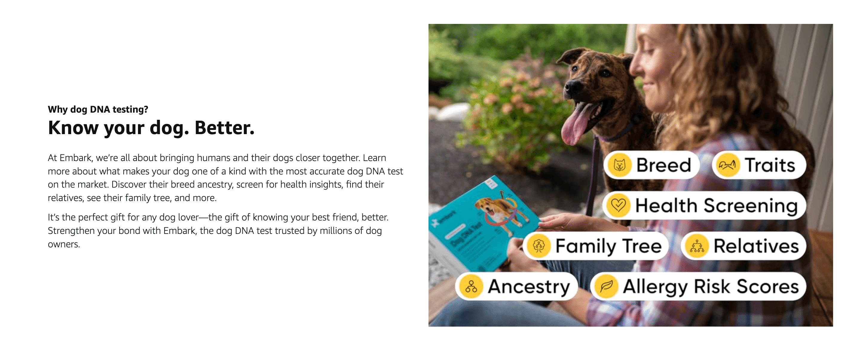 Shows the range of insights the DNA test delivers—breed, traits, health, family tree, ancestry, allergy risk—to demonstrate its comprehensive value.
