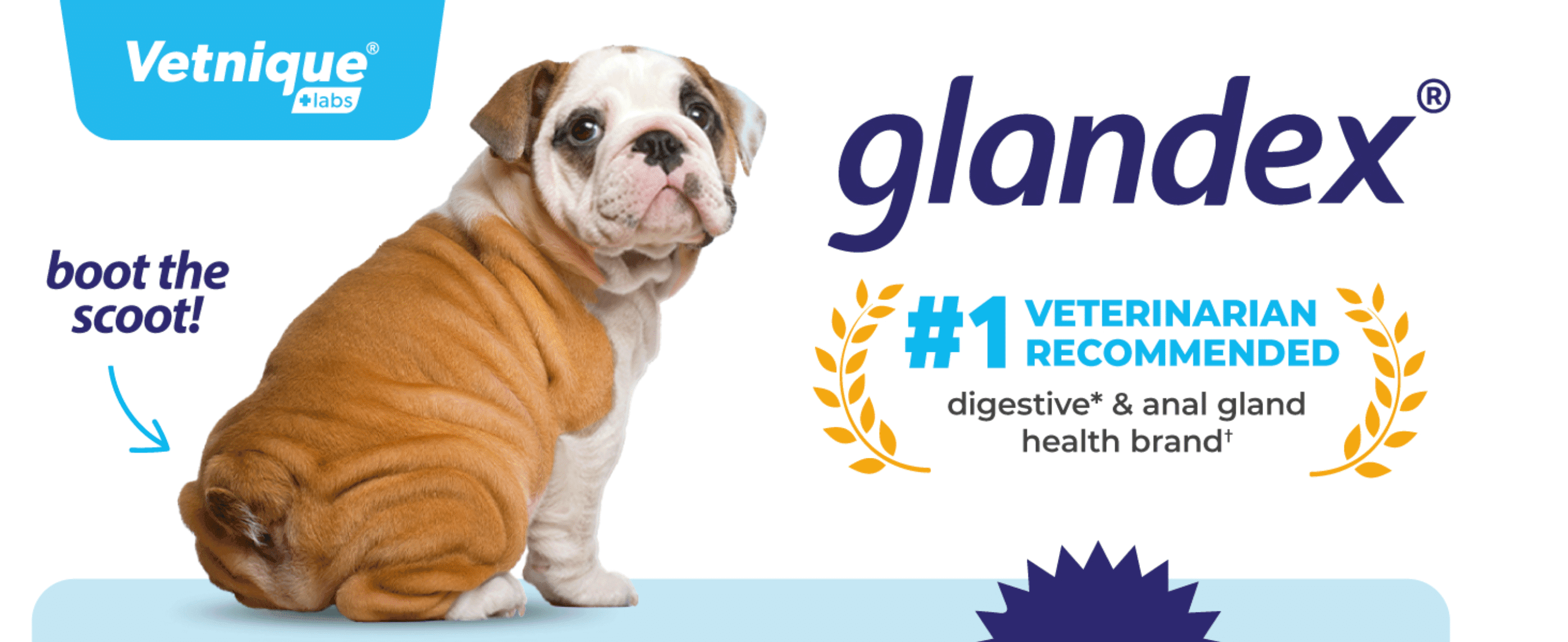 Introduces the Glandex brand and builds trust via a #1 veterinarian-recommended credential for digestive and anal gland health.