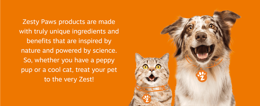 Builds emotional connection with the Zesty Paws brand by emphasizing unique, science-backed ingredients made for pets.