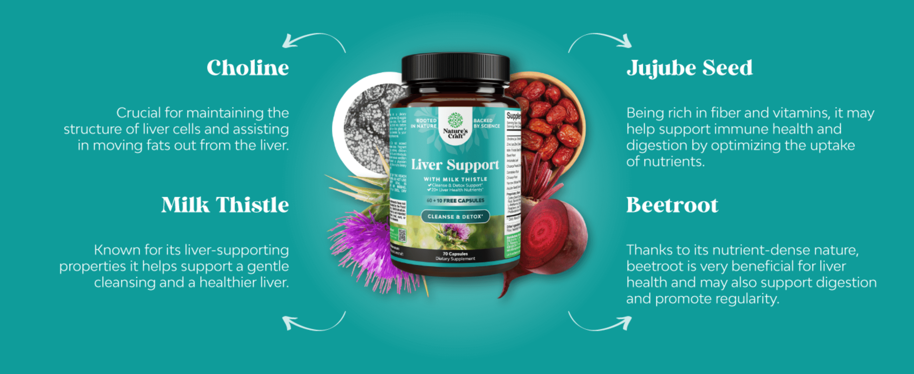 Highlights four supporting ingredients and their individual liver-health benefits to build confidence in the formula.