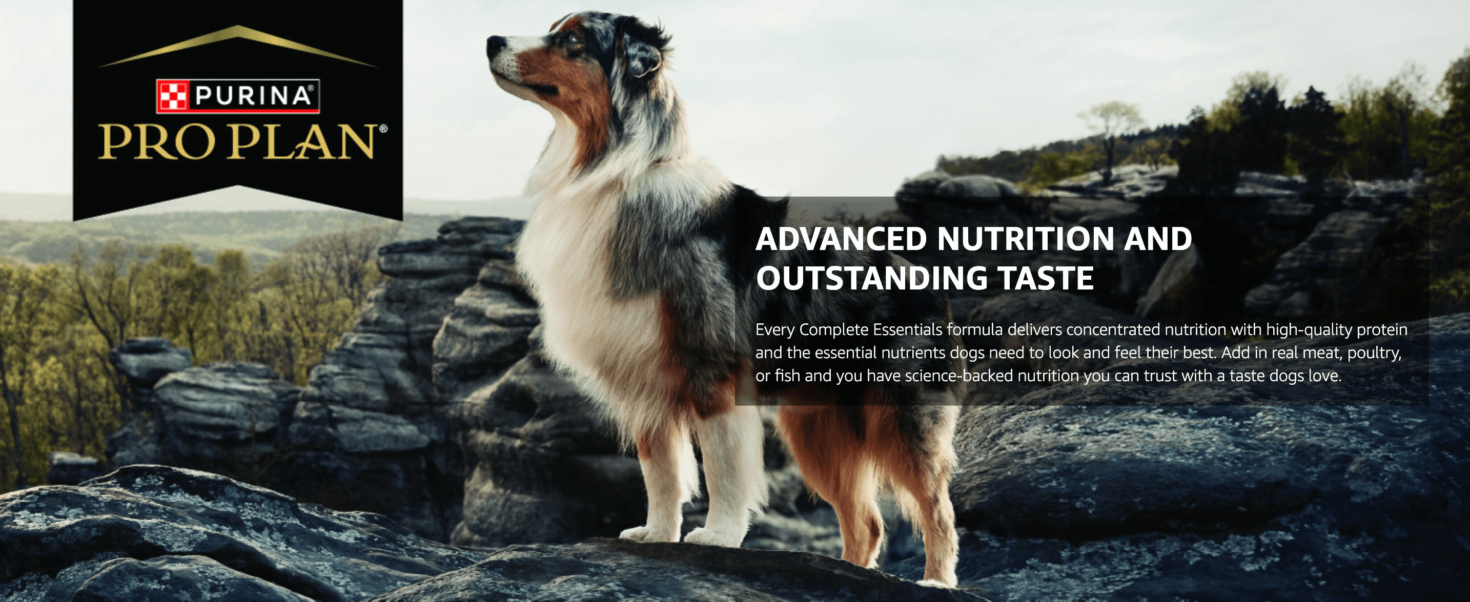 Establishes brand identity while communicating that the formula delivers concentrated, high-quality nutrition dogs love.