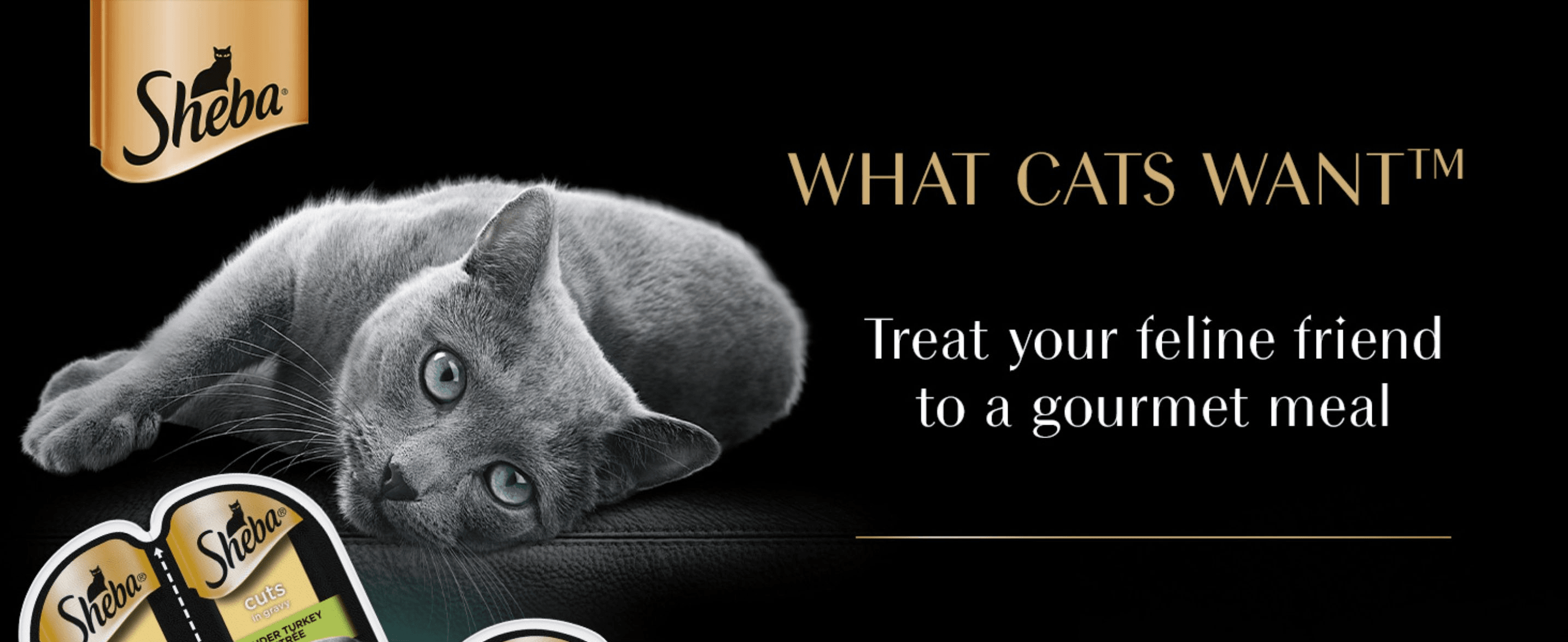 Introduces the Sheba brand identity with an emotive tagline to build affinity before showing the product.