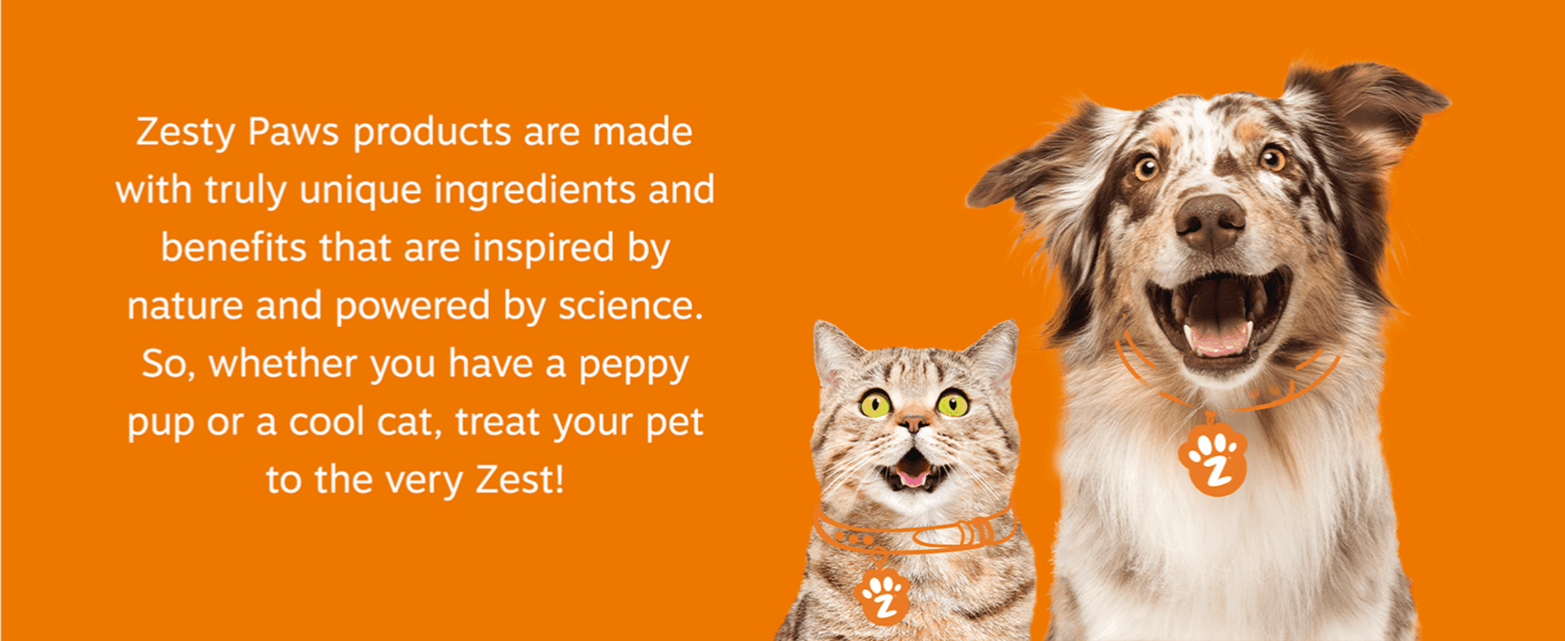 Explains the brand's nature-inspired, science-powered approach for both dogs and cats to build an emotional connection with pet owners.