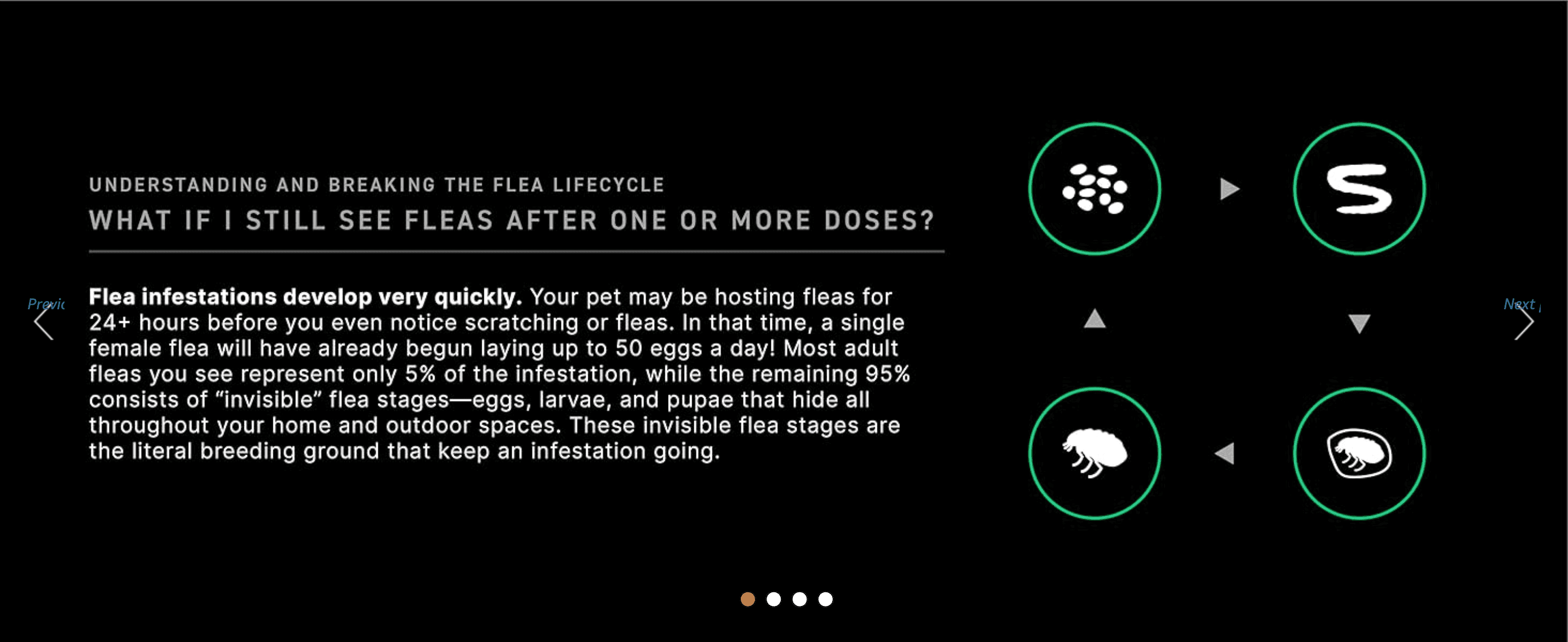 Explains why fleas can persist after a dose, so shoppers understand the treatment and keep using it.