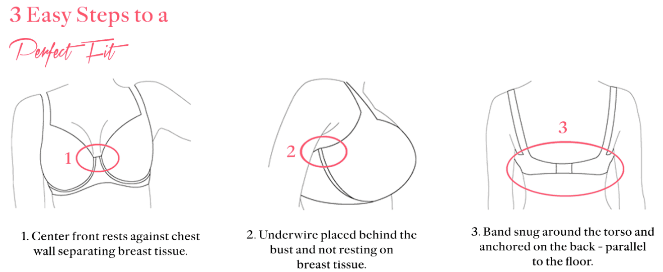 Walks shoppers through three numbered steps to check they have the correct bra fit, building confidence before purchase.