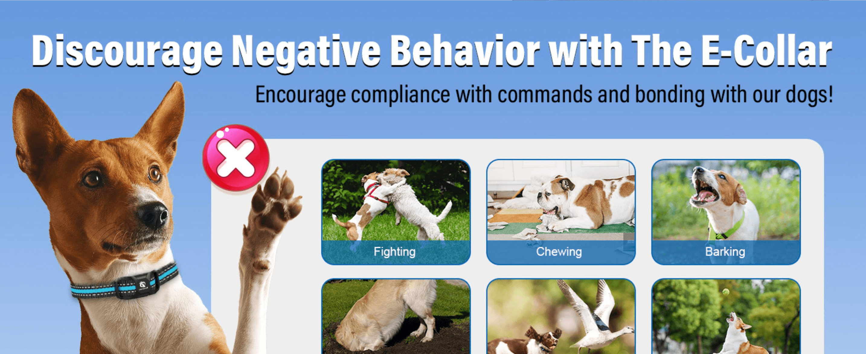 Shows the range of negative behaviors the e-collar can help discourage, reassuring shoppers of its versatility for training.