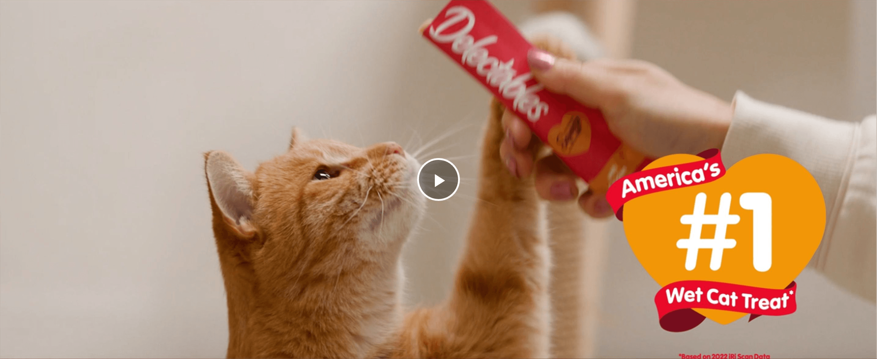 Positions Delectables as America's number one wet cat treat with a video hero, building trust and category leadership.