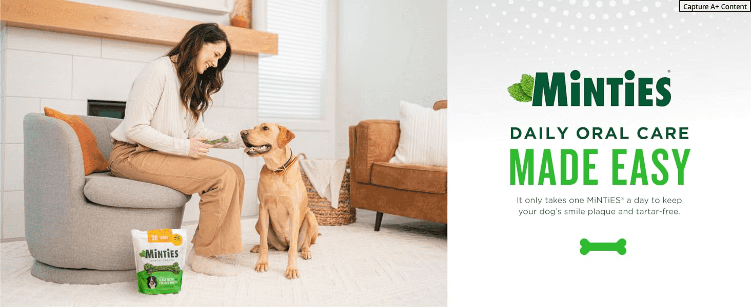 Introduces the Minties brand and positions its daily chew as an easy way to keep a dog's teeth clean.