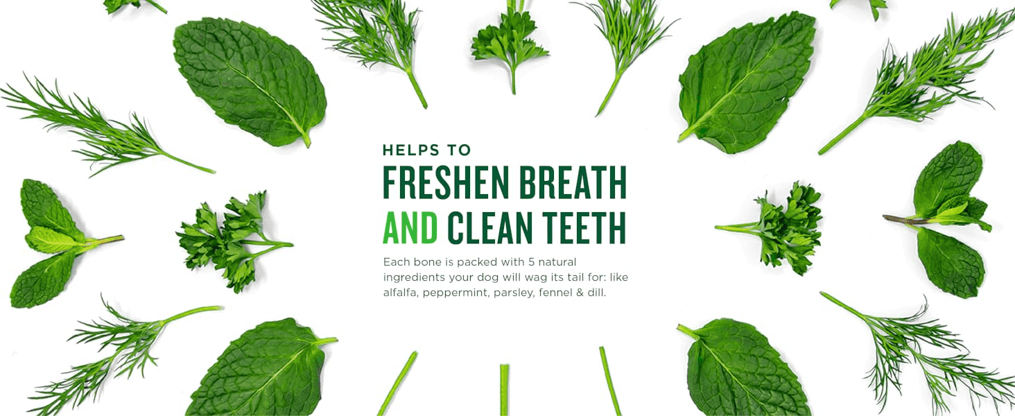Explains that natural ingredients freshen breath and clean teeth, reassuring shoppers about what is in each chew.