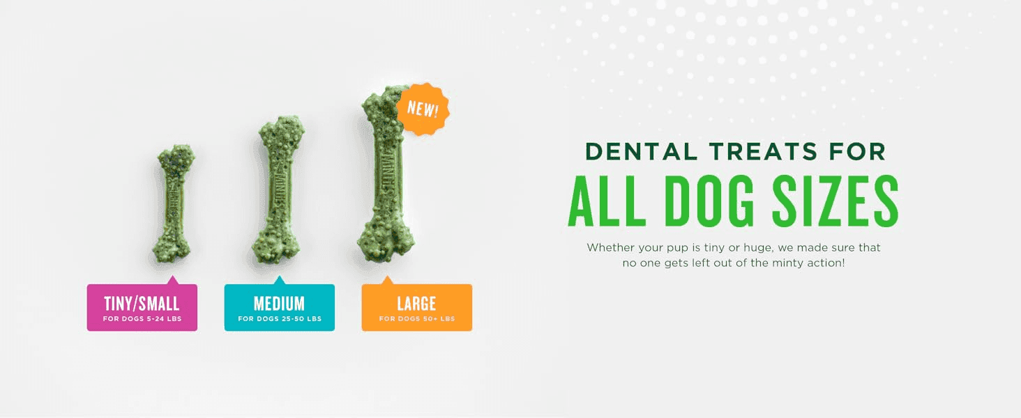 Shows the three chew sizes side by side so owners of any dog size can find the right fit. Tells shoppers the dental treats come in sizes for every dog.