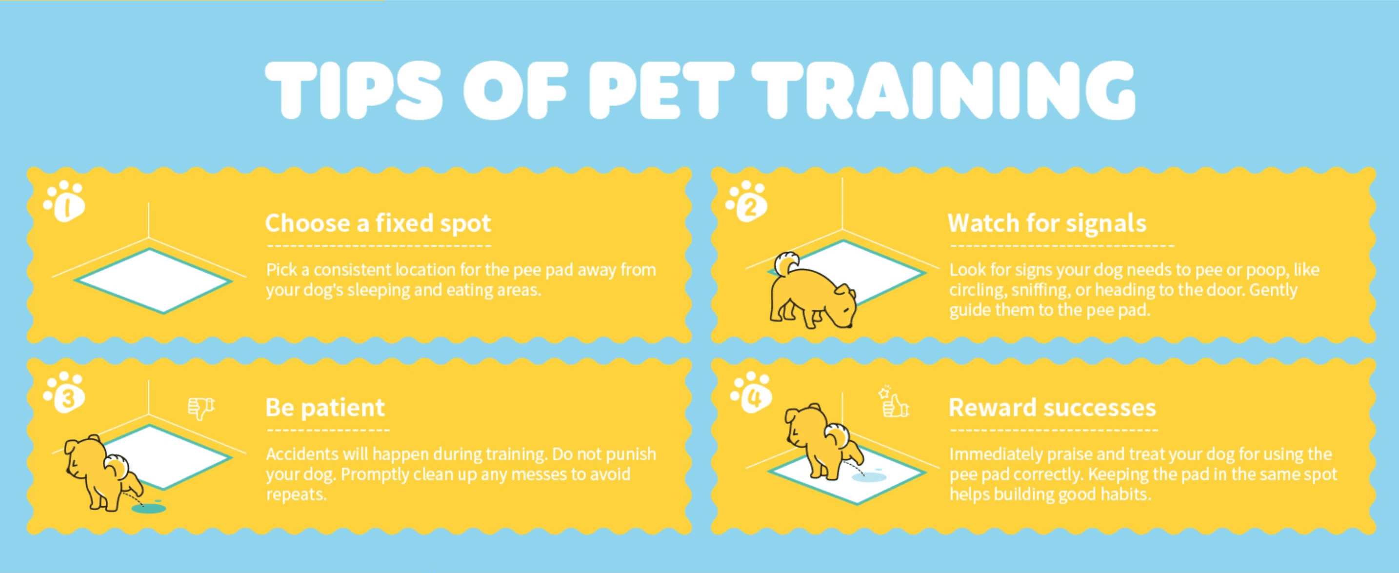 Walks shoppers through a simple 4-step process for training their pet to use the pad successfully.