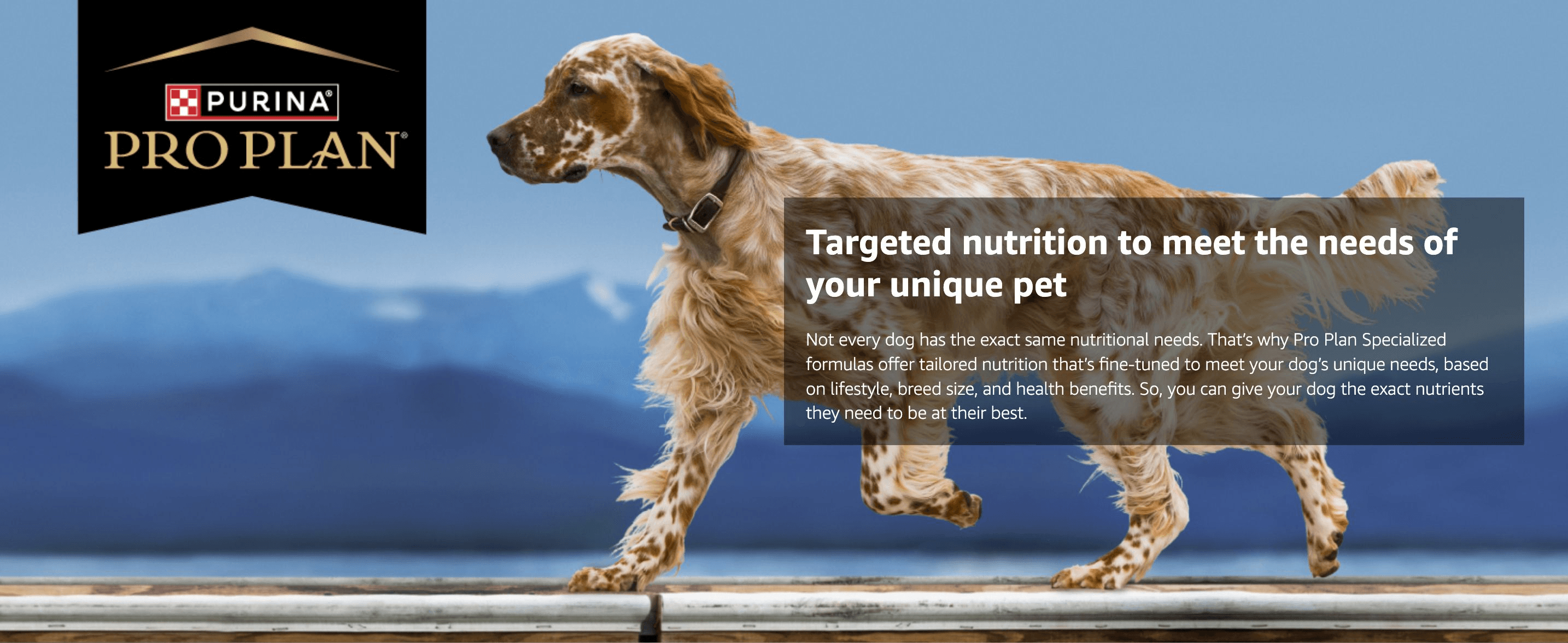 Presents Pro Plan's tailored-nutrition promise over a lifestyle photo of a dog, building trust in the brand's specialized formulas.