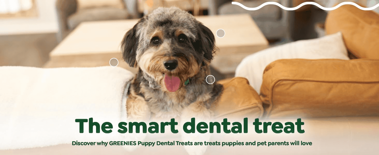 Pairs a warm lifestyle photo of a puppy with a smart dental treat claim to build emotional appeal around the product's benefit.