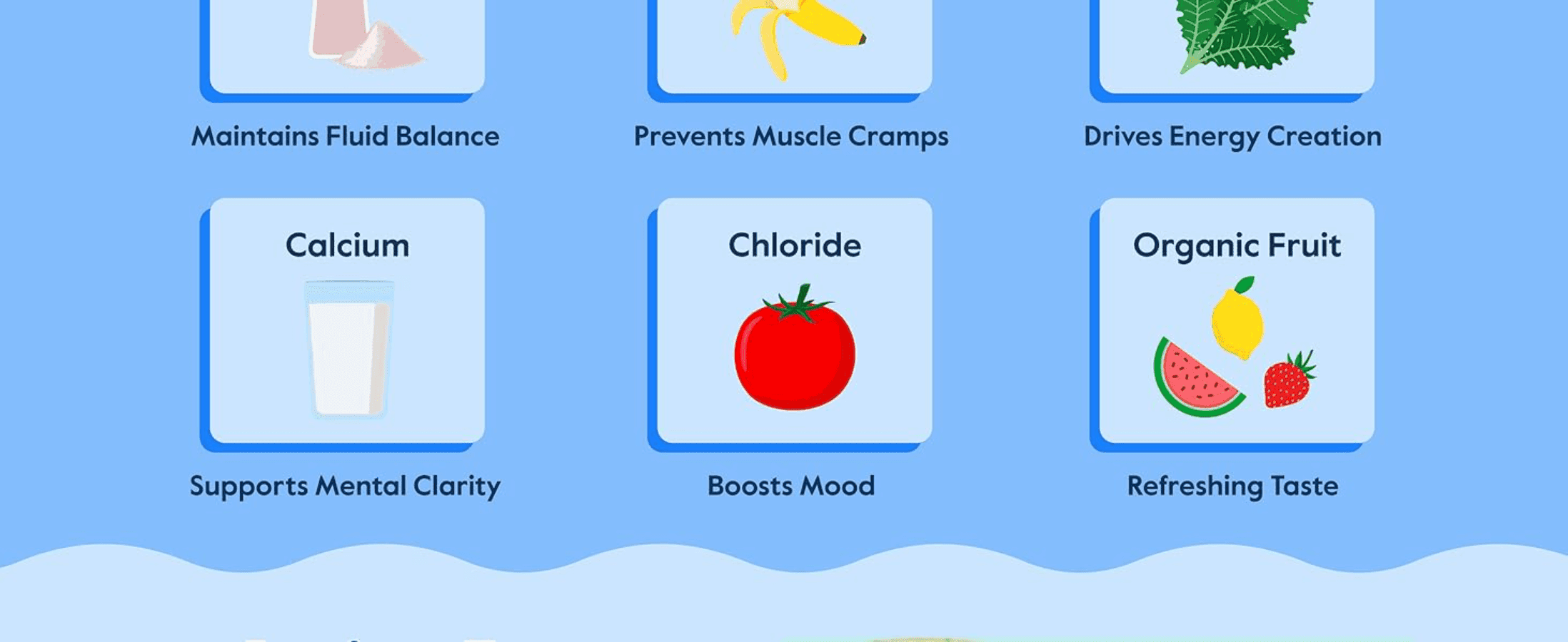Breaks down key electrolyte ingredients and their individual health benefits to build confidence in the formula.