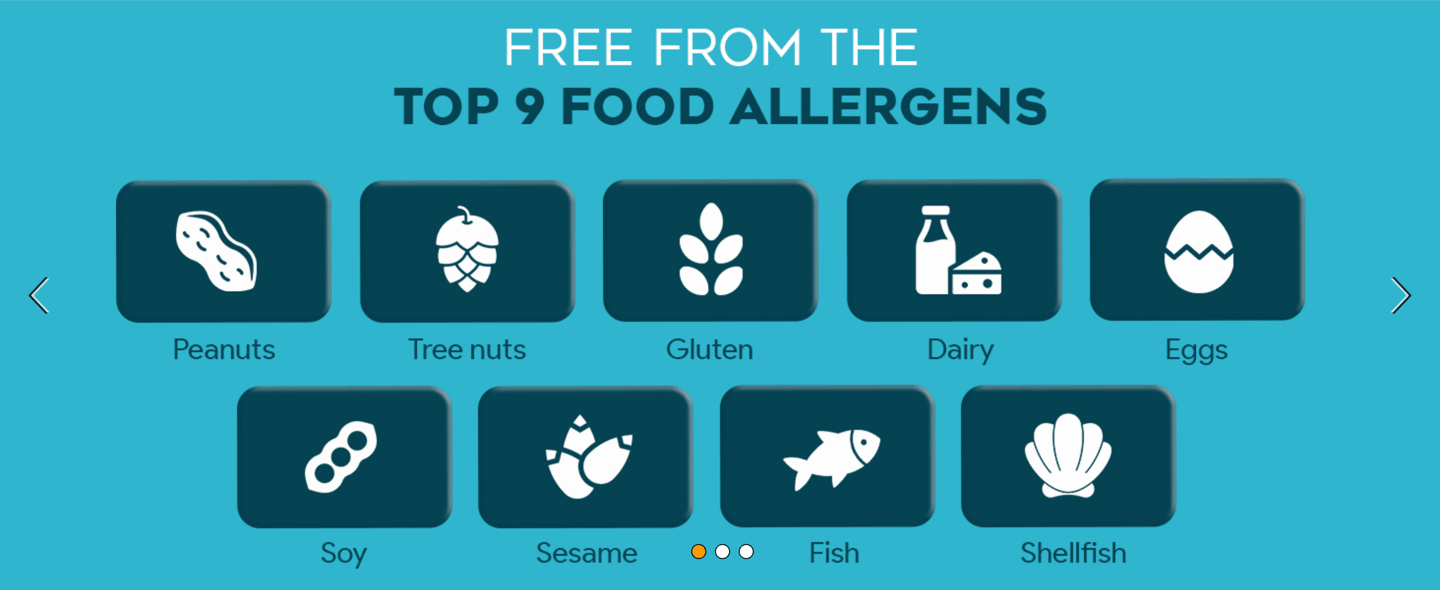 Reassures shoppers with allergies or sensitivities that the product avoids all nine major food allergens. Uses a segmented icon grid to individually call out each of the nine allergens the product…