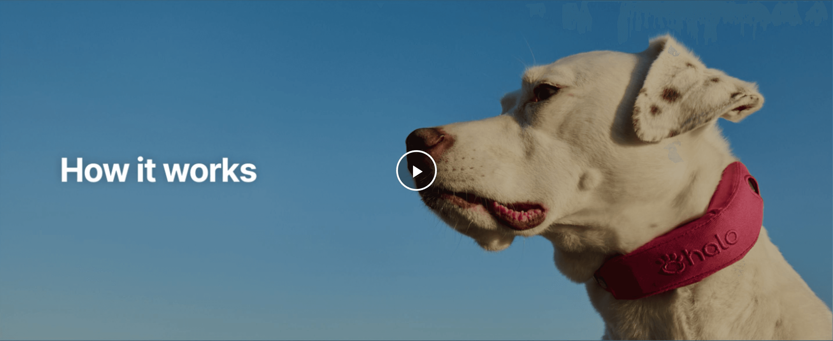 Introduces an explainer video showing how the GPS dog collar and fence system works.