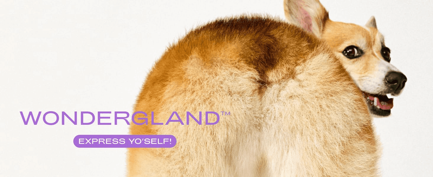 Introduces the WonderGland brand name and playful tagline to build recognition before the shopper reads feature details.