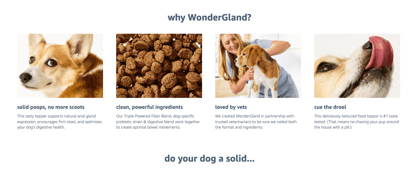 Highlights four distinct benefits (gland support, clean ingredients, vet approval, palatability) in a segmented grid to build a well-rounded case for the product.