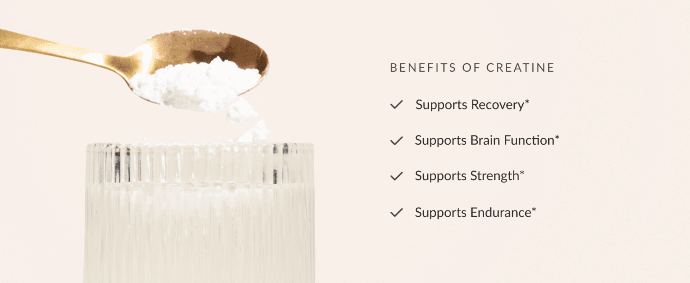 Lists the core physical benefits of creatine (recovery, brain function, strength, endurance) as a scannable checklist to reassure shoppers of its value.