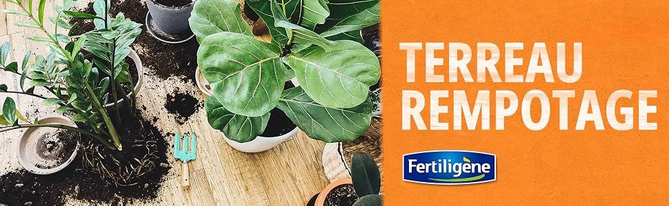 Identifies the Fertiligene brand and introduces the Terreau Rempotage potting soil line with a clean branded banner to build recognition and trust. Shows the potting mix in a real repotting setting…