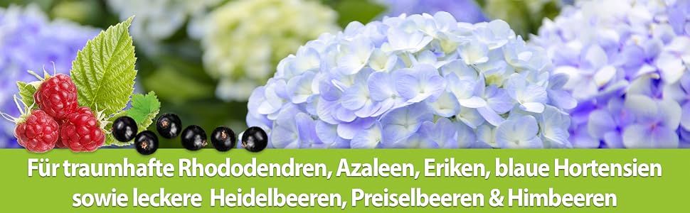 Shows the product suits a range of acid-loving plants and fruits, so shoppers can see which garden plants and berries it works with.