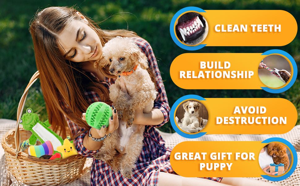Showcases four distinct product benefits in a visually segmented layout to help shoppers quickly understand the key selling points of the dog toy product.