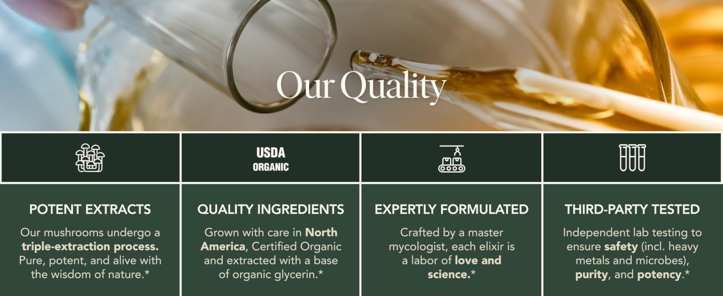 Showcases multiple quality and safety attributes in a segmented layout to reassure shoppers about ingredient sourcing, formulation expertise, and third-party testing. Highlights organic…