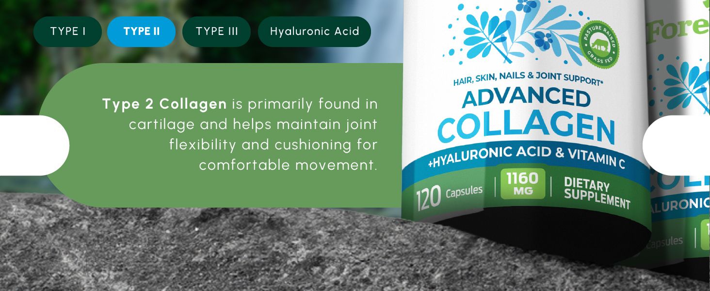 Highlights Type 2 Collagen and explains its specific benefit for joint flexibility and cushioning to help shoppers understand its targeted health application.