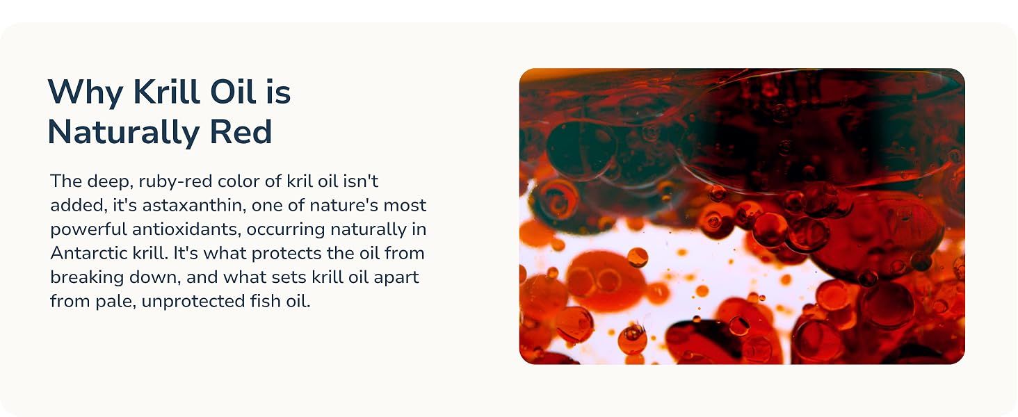 Explains that the deep red color is natural astaxanthin rather than an additive, signaling a potent antioxidant that protects the oil and sets it apart from pale fish oil.