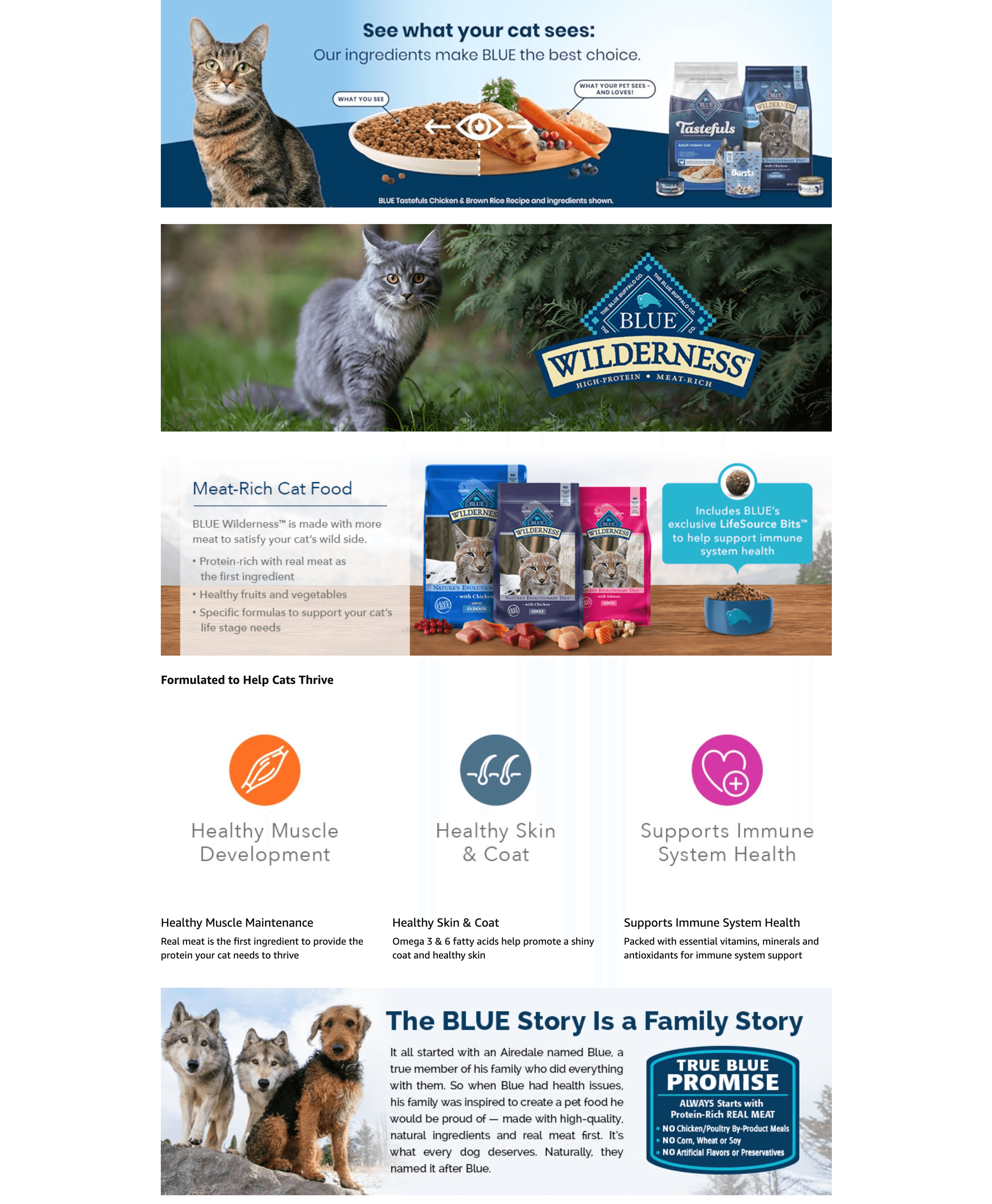 Premium A+ Content for Amazon.com: Blue Buffalo Wilderness Natural Adult Dry Cat Food