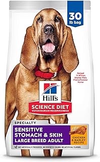 Main Images for Amazon.com : dog