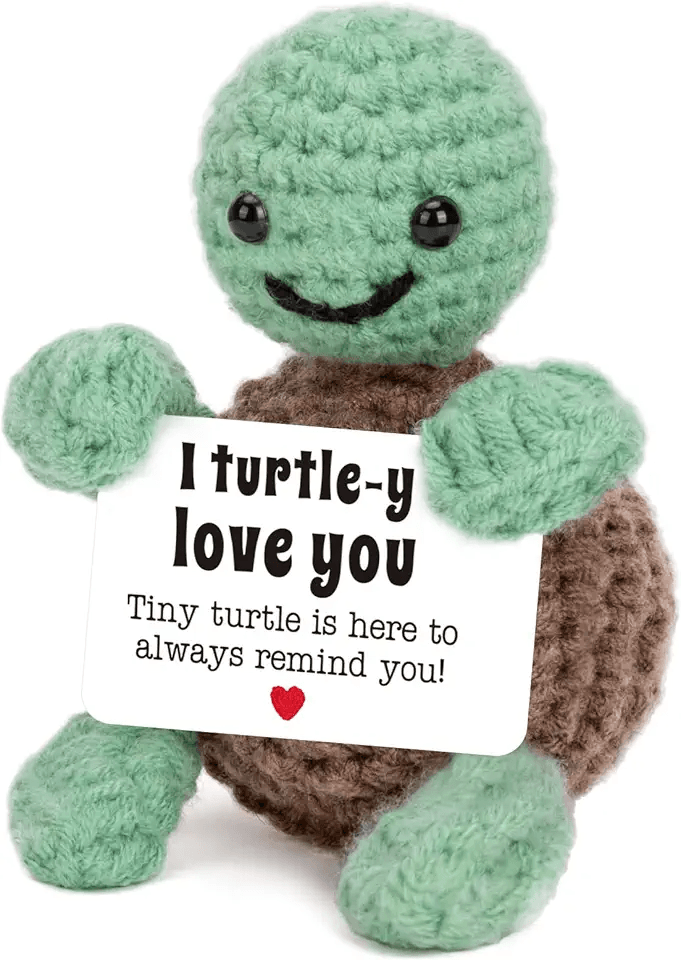 Main Images for Mini Funny Turtle Gifts for Her Him Christmas