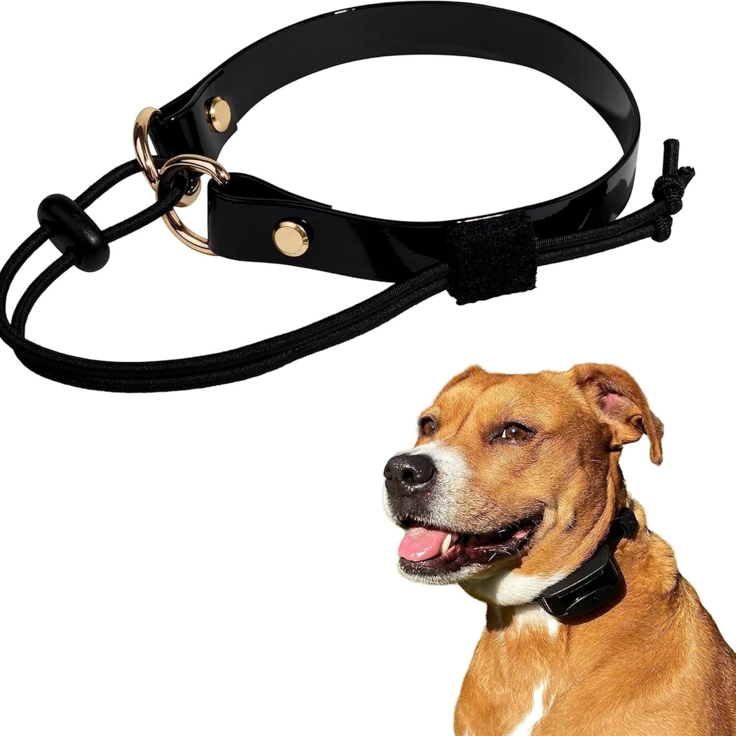 Shows the core product clearly with a demonstration of how it looks when worn by a dog, helping shoppers understand the design and fit. Demonstrates the collar on a dog to show scale, fit, and…
