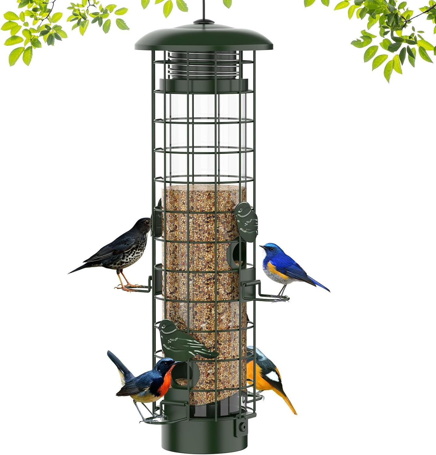 Squirrel Proof Bird Feeder