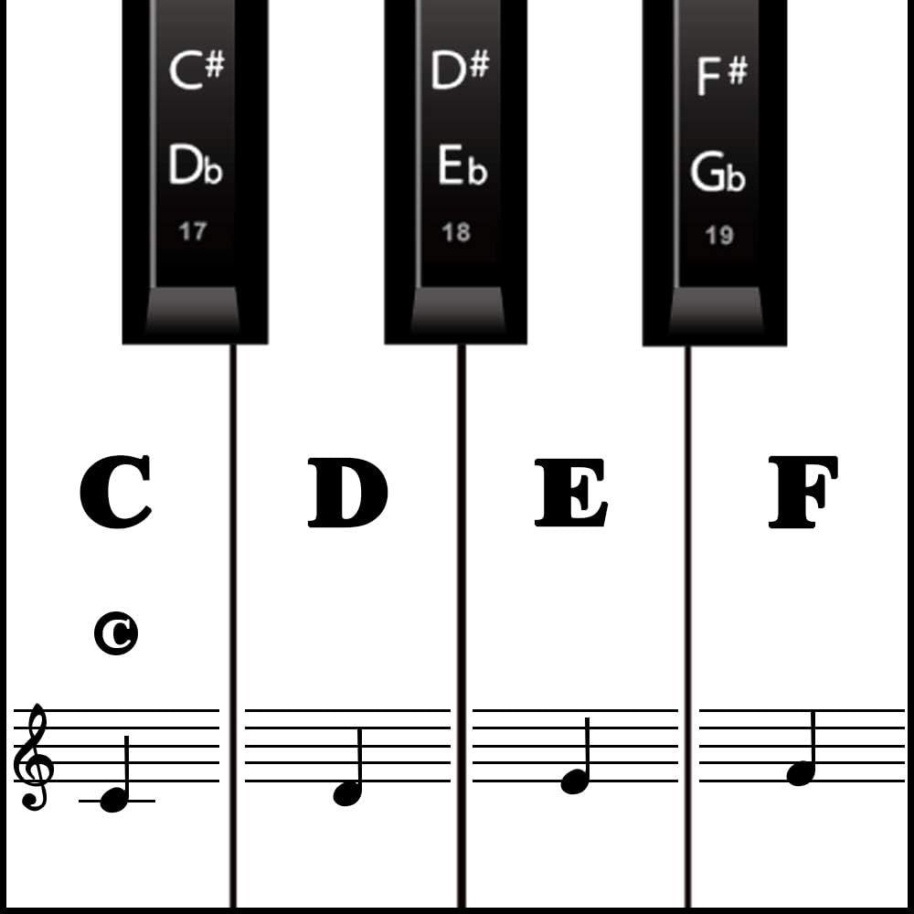 Shows piano key labels with musical notation to help beginners learn piano keys and their corresponding notes on the staff.
