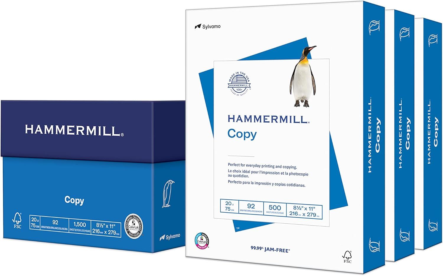 Shows the core product - Hammermill Copy paper - in both individual ream packaging and case box format to communicate what the buyer will receive. Displays…