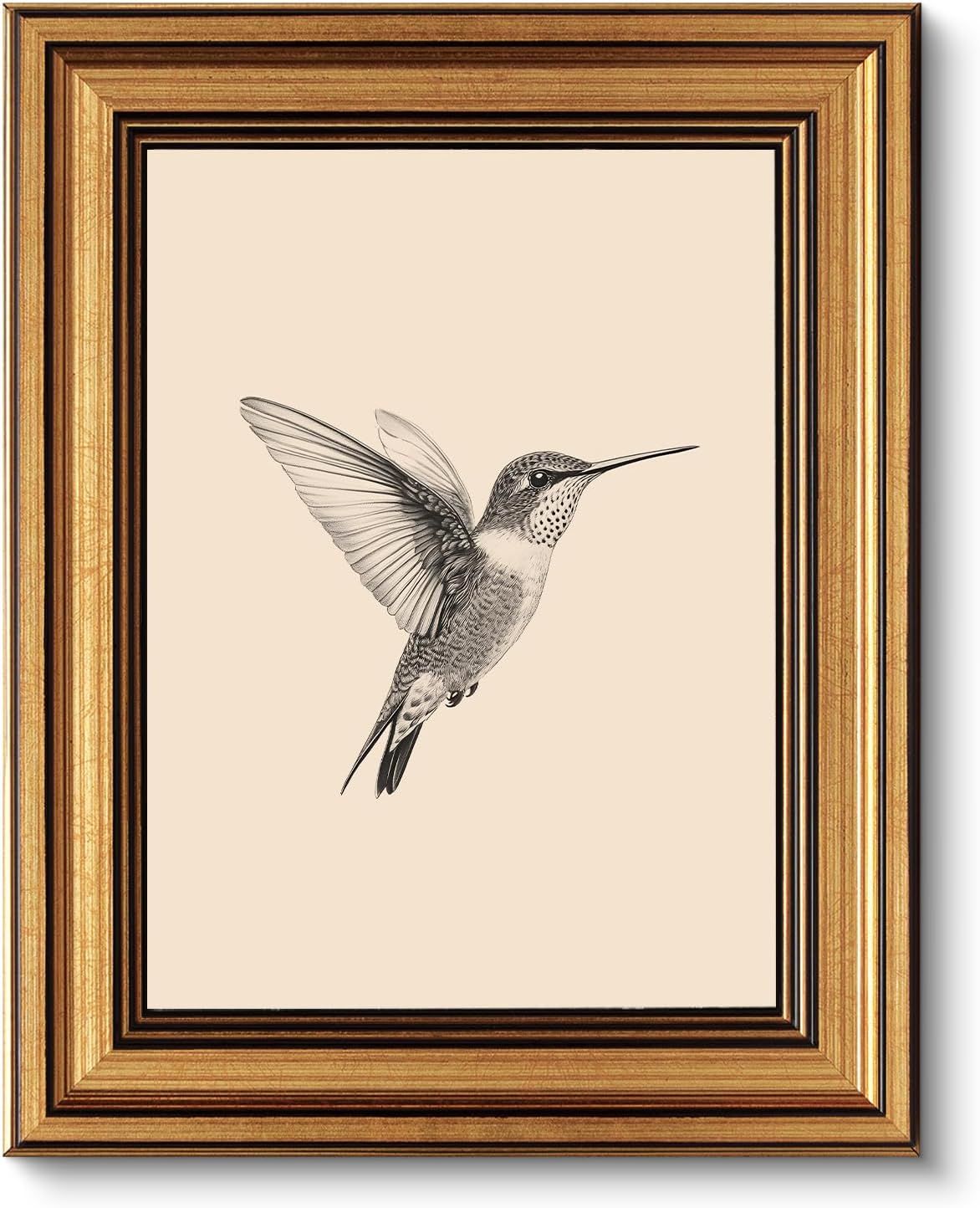 This appears to be a framed art print or decorative wall art featuring a hummingbird illustration, not a typical Amazon product hero image showing a sellable…