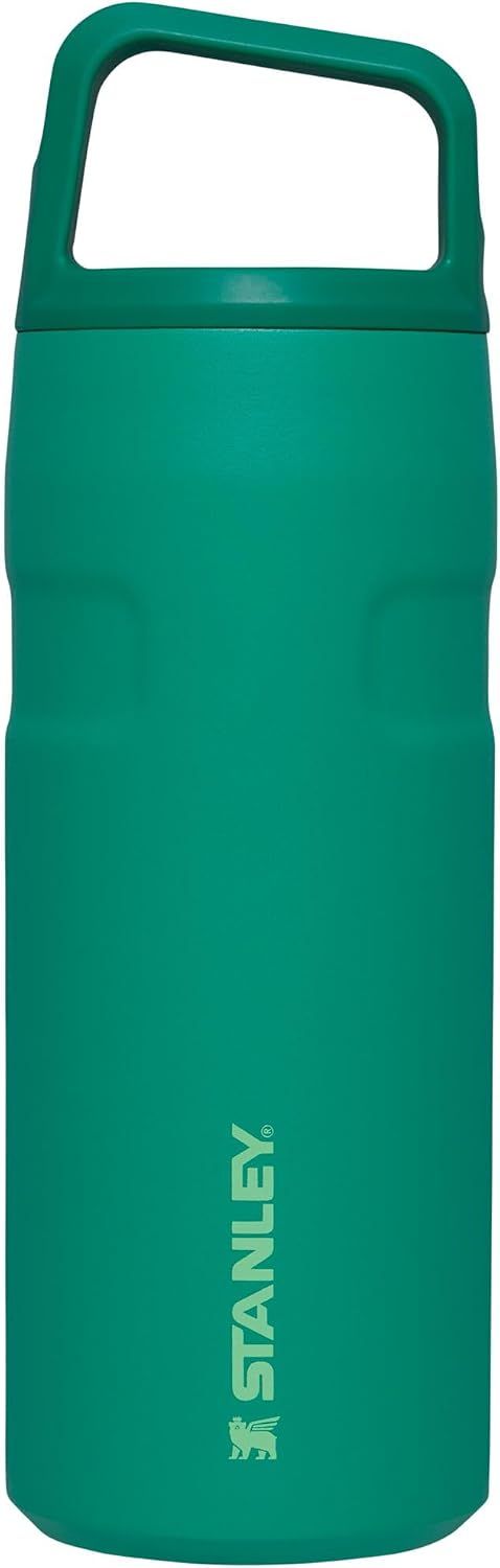 Shows the Stanley water bottle clearly on a white background to give shoppers a clean, catalog-style view of the product they are purchasing.