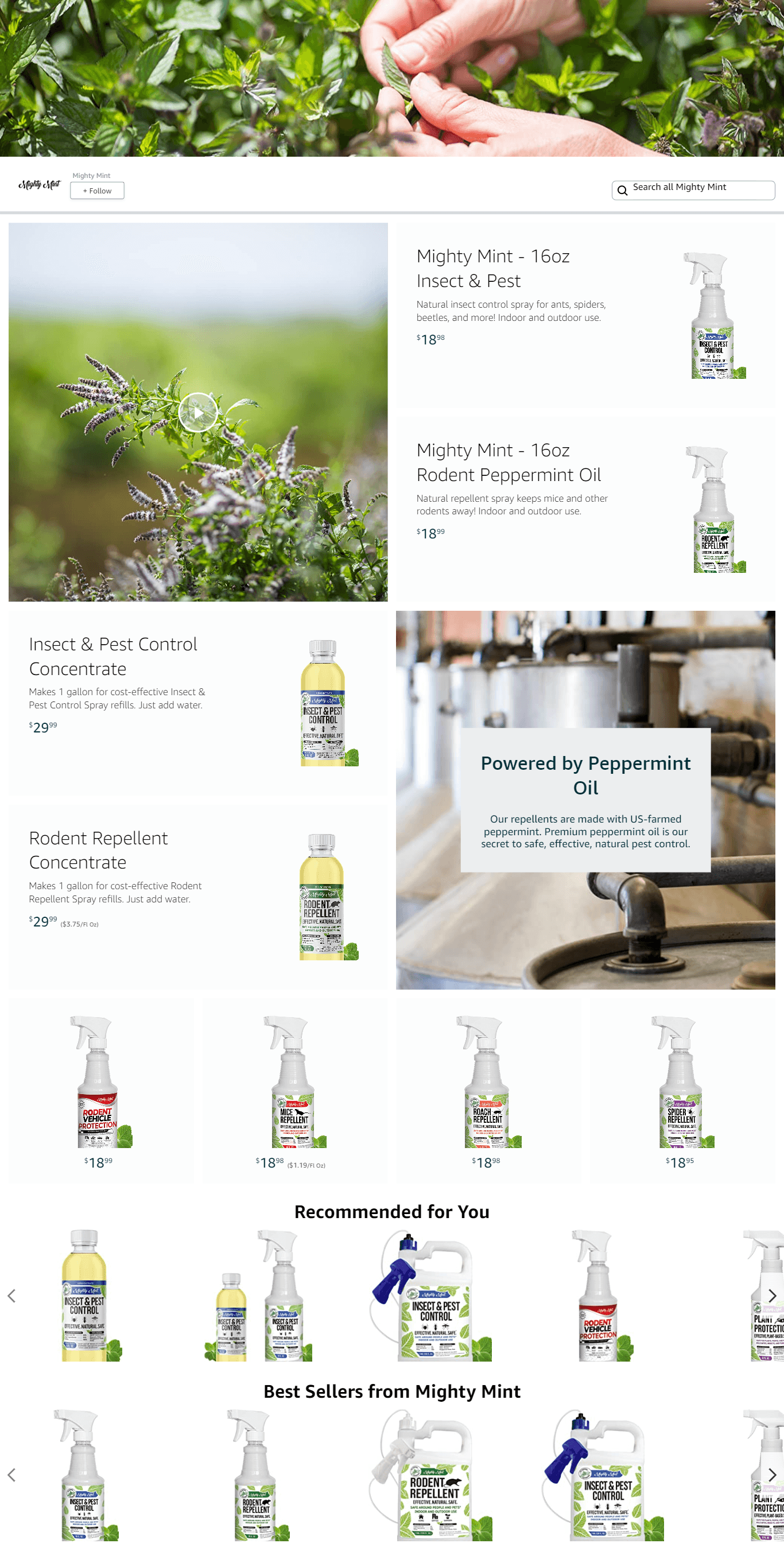 Brand Store for Amazon.com  Mighty Mint
