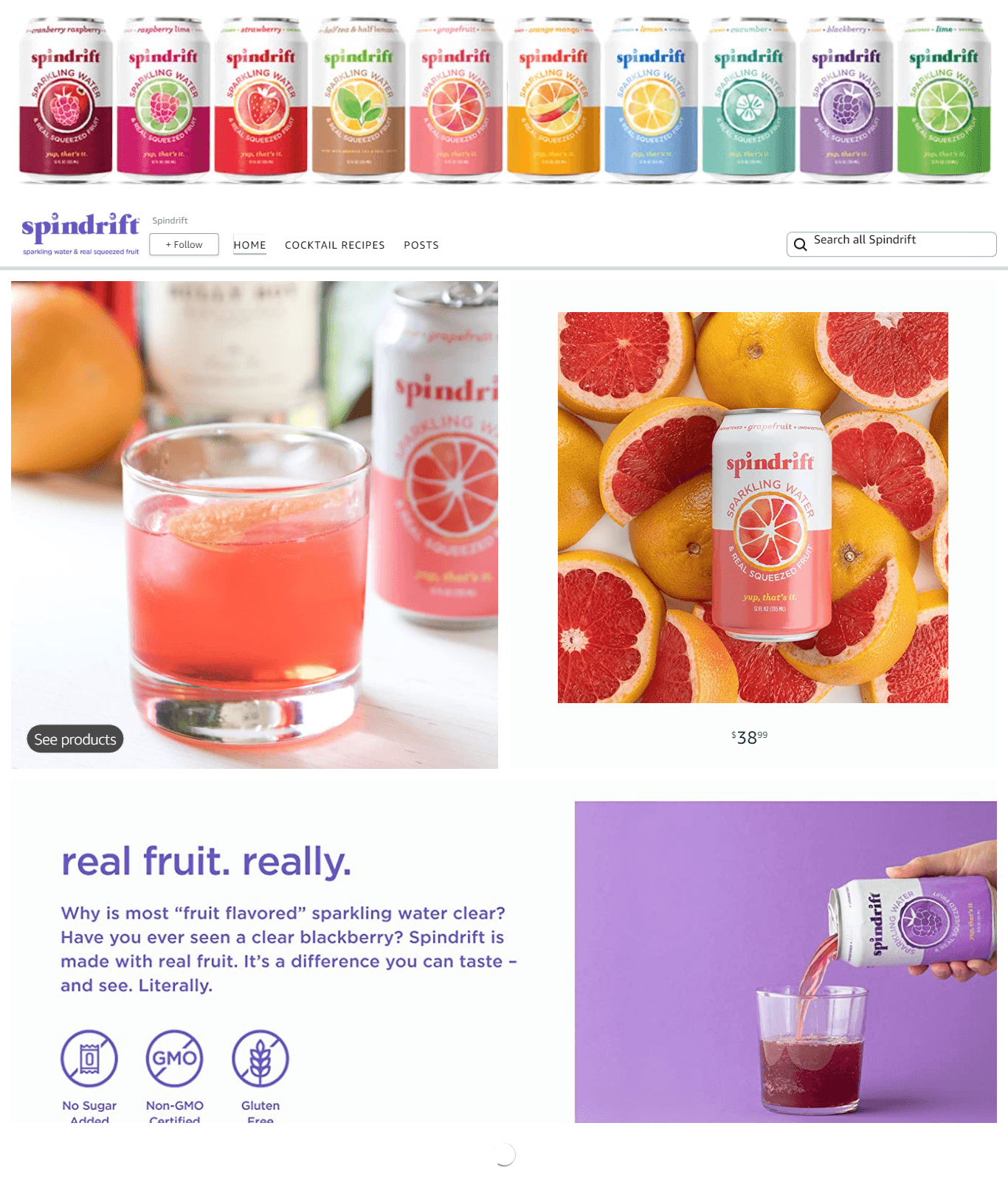 Brand Store for Amazon.com  Spindrift