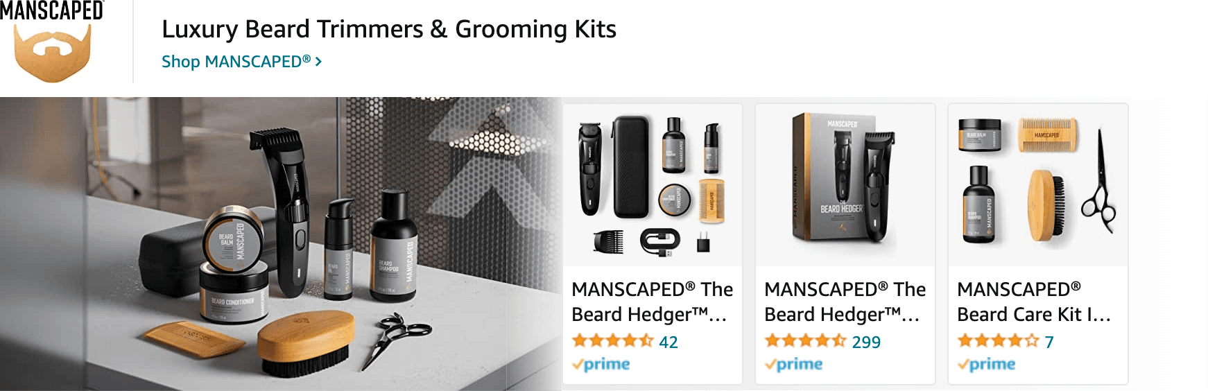 Sponsored Brands Ads for Amazon.com   beard grooming kit for men